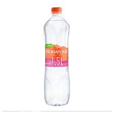 Agua Bonafont 1L 